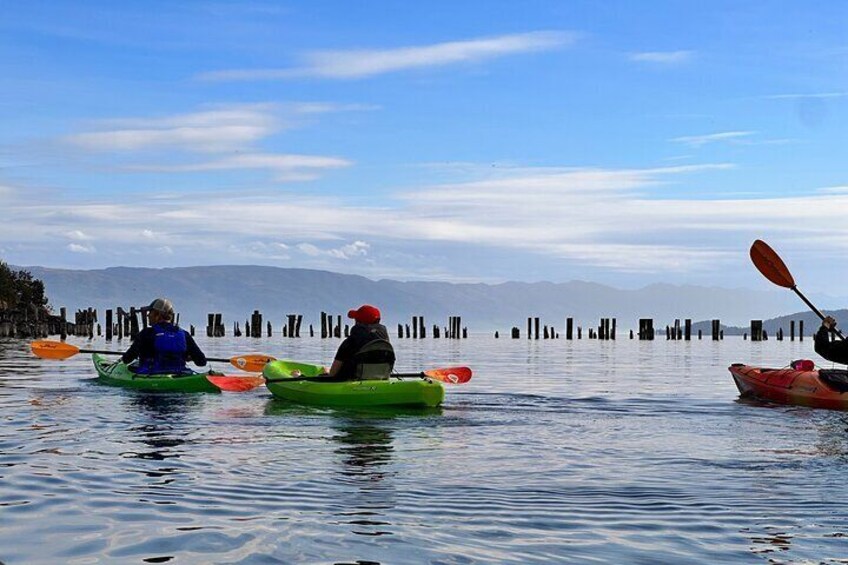 Pier system