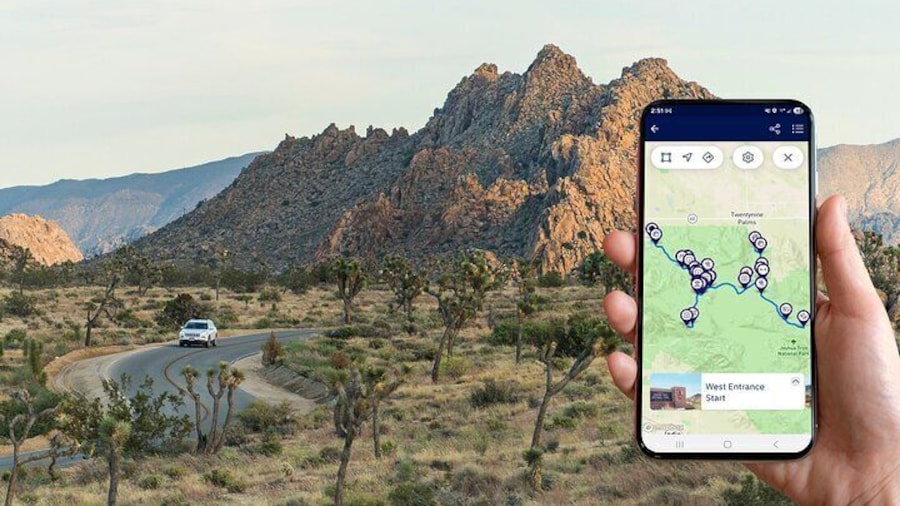 Park Boulevard in Joshua Tree National Park