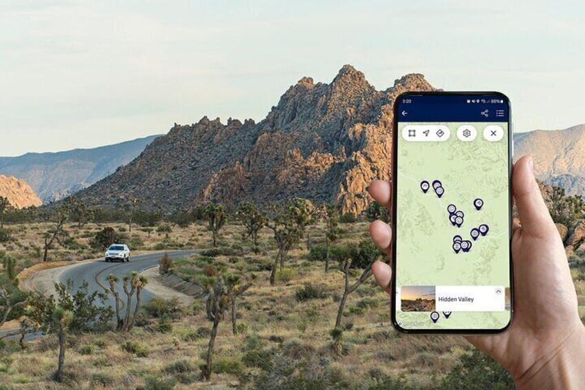 Park Boulevard in Joshua Tree National Park