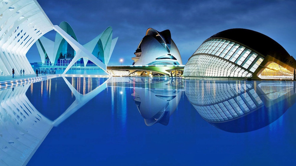 Show item 5 of 5. Modern buildings at the City of Arts and Sciences in Valencia