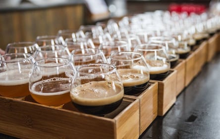Boston: Guided Craft Brewery Tour with a Snack