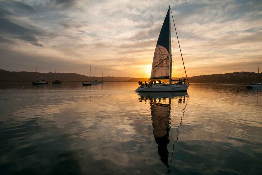Picture 2 for Activity Knysna Sunset Sailing Cruise with Light Dinner and Wine