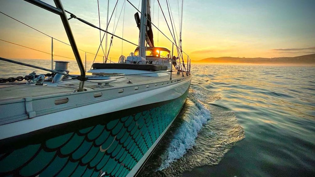 Knysna Sunset Sailing Cruise with Light Dinner and Wine