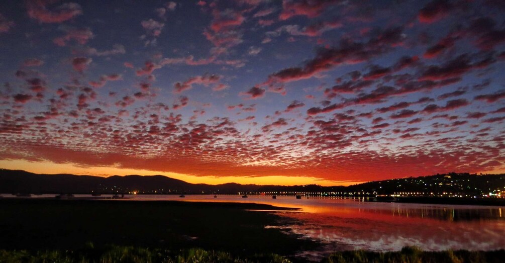 Picture 2 for Activity Knysna Sunset Sailing Cruise with Light Dinner and Wine