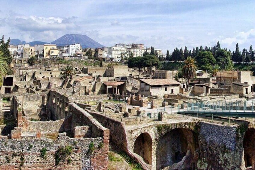 Naples Herculaneum Entry Ticket with Audioguide with Postcard 