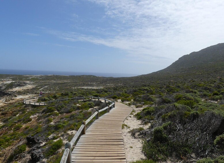 Picture 4 for Activity Cape Town: Cape Point and Penguin Colony Full Day Tour