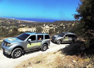 Safari en jeep de lujo a la costa sur, Palm Beach y los cañones