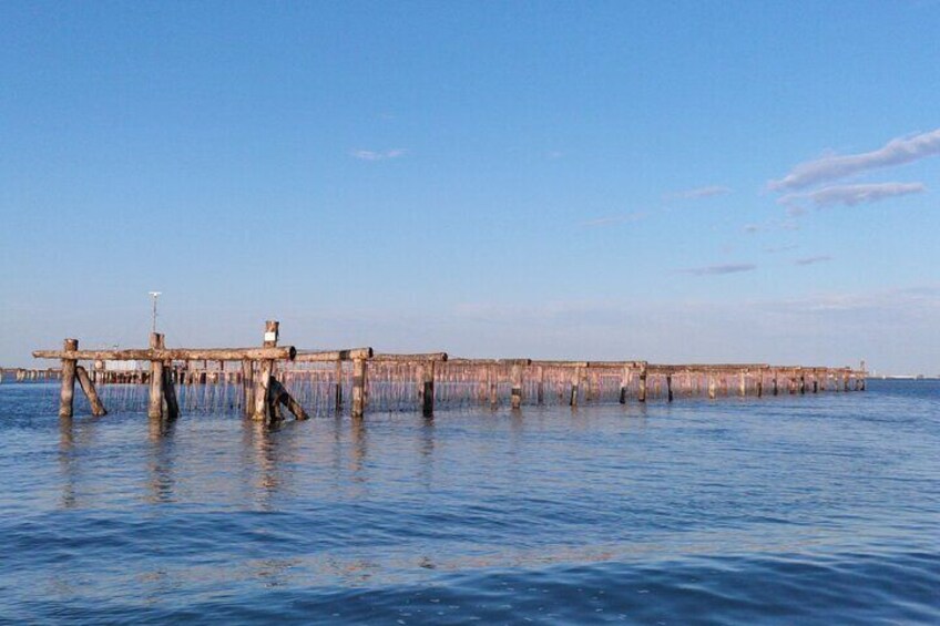 Chioggia : Aquaculture Secrets Tours of the Lagoon