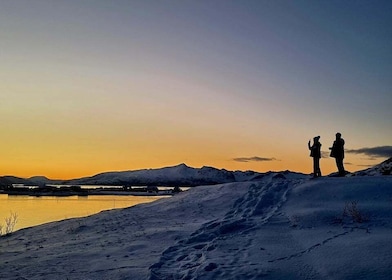 Fra Tromsø: Arktisk fjordtur i lille gruppe