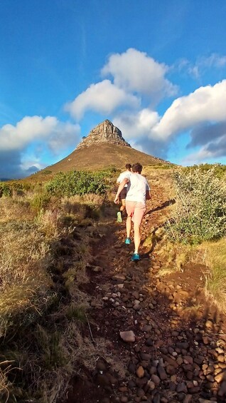 Picture 13 for Activity Cape Town: Trail Run Lion's Head and Signal Hill Morning