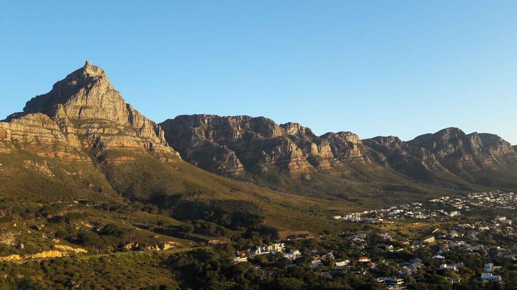 Picture 4 for Activity Cape Town: Trail Run Lion's Head and Signal Hill Morning