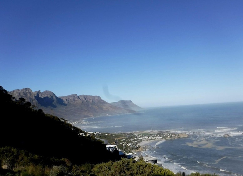 Picture 3 for Activity Cape Town: Lion's Head and Signal Hill Morning Trail Run