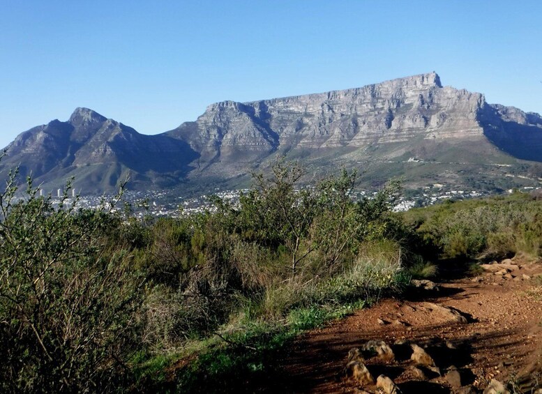 Picture 1 for Activity Cape Town: Lion's Head and Signal Hill Morning Trail Run