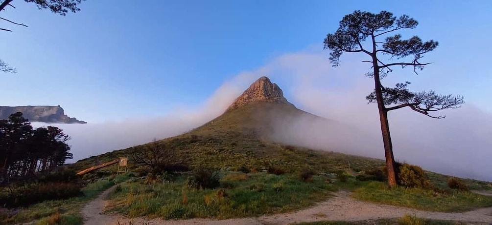 Picture 7 for Activity Cape Town: Trail Run Lion's Head and Signal Hill Morning