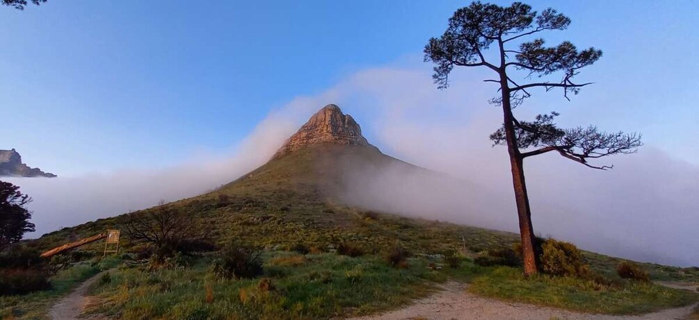 Picture 7 for Activity Cape Town: Lion's Head and Signal Hill Morning Trail Run