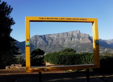 Kaapstad: Trail Run Lion's Head en Signal Hill 's ochtends