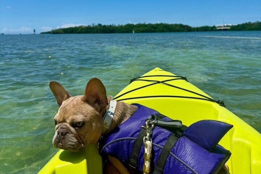  Key West Kayak Eco Tour | An Eco-Friendly Adventure Awaits!