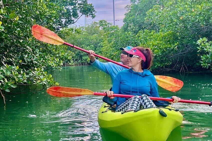Key West Kayak Eco Tour | An Eco-Friendly Adventure Awaits!