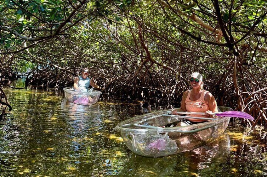 Key West Kayak Eco Tour | An Eco-Friendly Adventure Awaits!