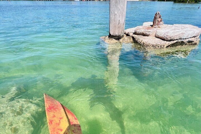  Key West Kayak Eco Tour | An Eco-Friendly Adventure Awaits!