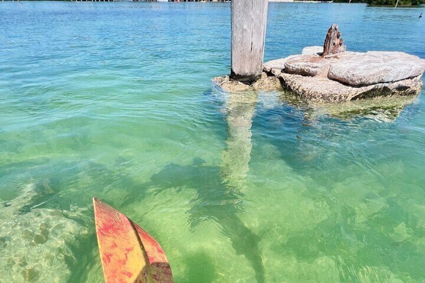 Key West Kayak Eco Tour | An Eco-Friendly Adventure Awaits!