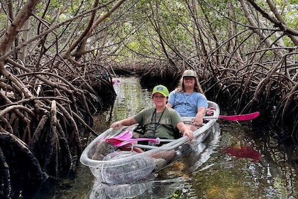 Key West Kayak Eco Tour | An Eco-Friendly Adventure Awaits!