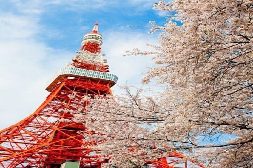 Tokyo Night Adventure Experience With Dinner At Sky Tree Tower