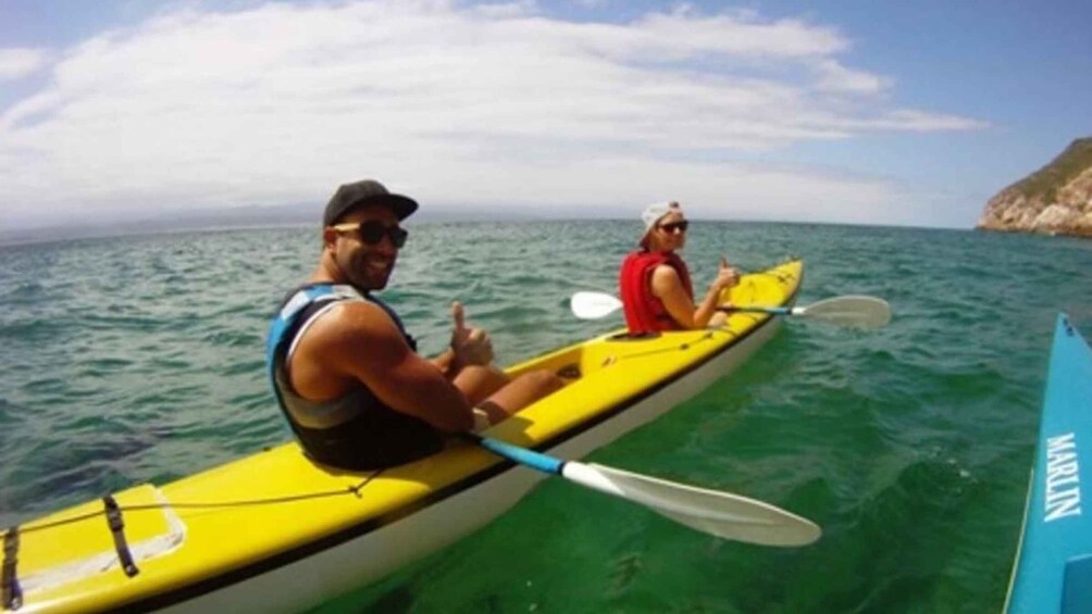 Picture 1 for Activity Plettenberg Bay: Guided Sea Kayak Tour
