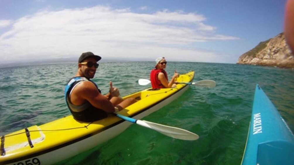 Picture 1 for Activity Plettenberg Bay: Guided Sea Kayak Tour