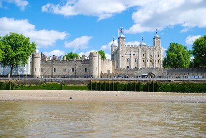 Visita privada totalmente guiada a la Torre de Londres