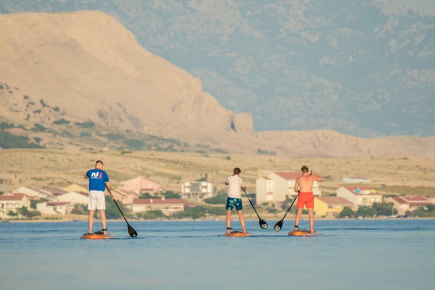 Picture 2 for Activity Novalja: Standup Paddleboard Guided Tour