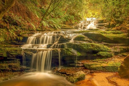 Dari Sydney: Perjalanan Sehari Penuh Tamasya Blue Mountain