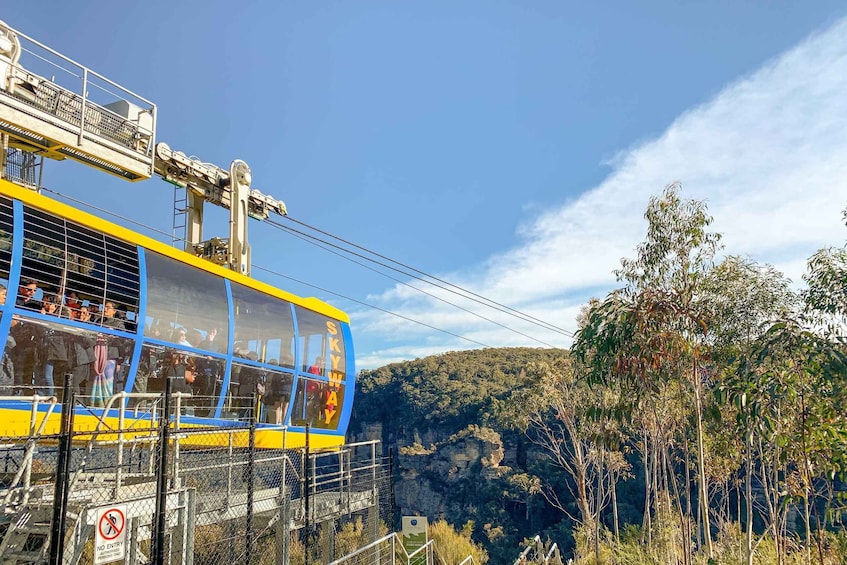 Picture 23 for Activity From Sydney: Blue Mountain Sightseeing Full-Day Trip