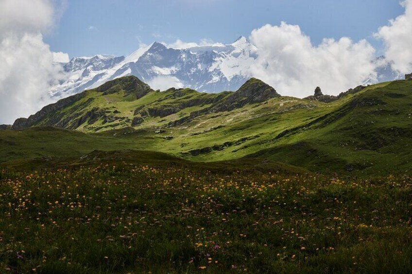 Jungfraujoch Day Visit from Grindelwald