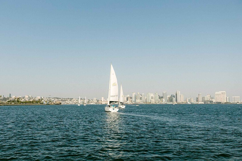 Picture 1 for Activity San Diego: Relax on a Morning, Day or Sunset Luxury Sail