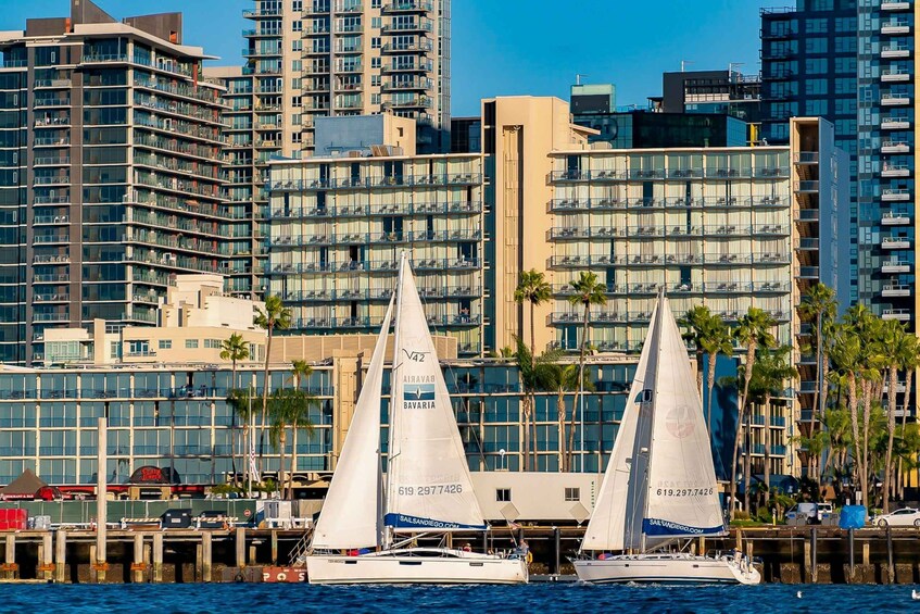 Picture 9 for Activity San Diego: Relax on a Morning, Day or Sunset Luxury Sail