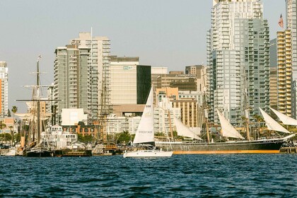 San Diego : Détendez-vous lors d'une croisière de luxe le matin, le jour ou...