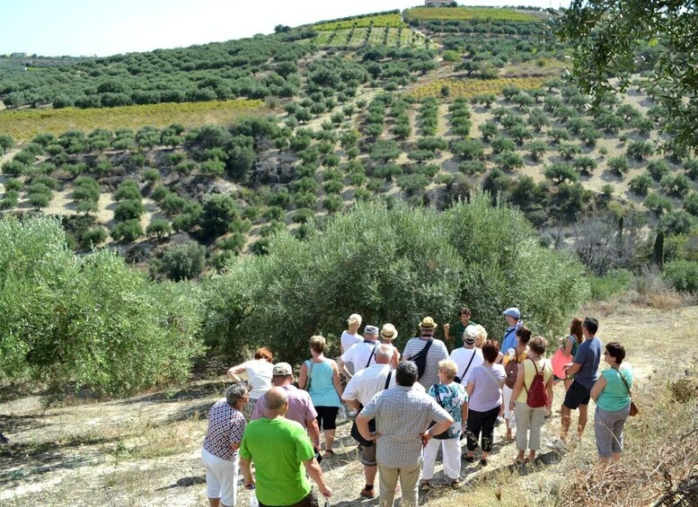 Picture 4 for Activity Pottery Workshop - Honey & Olive Oil experience