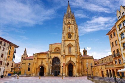 Guided tour of Oviedo