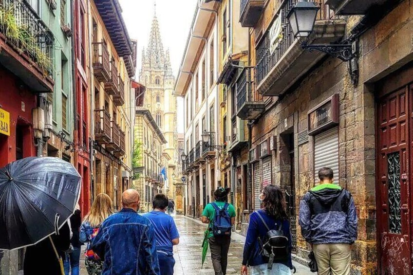 Guided tour of Oviedo