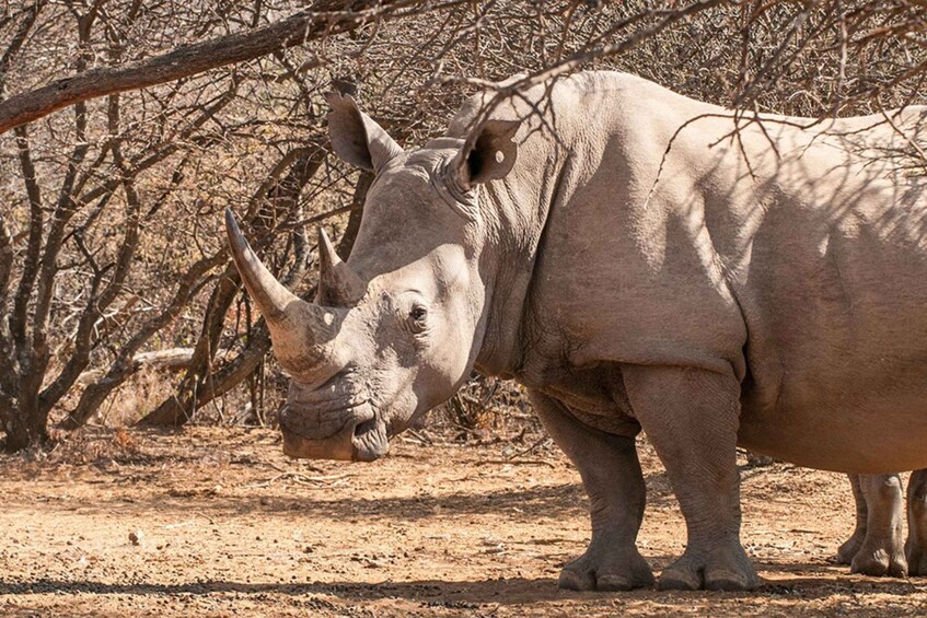 Picture 1 for Activity Around Gaborone Adventure