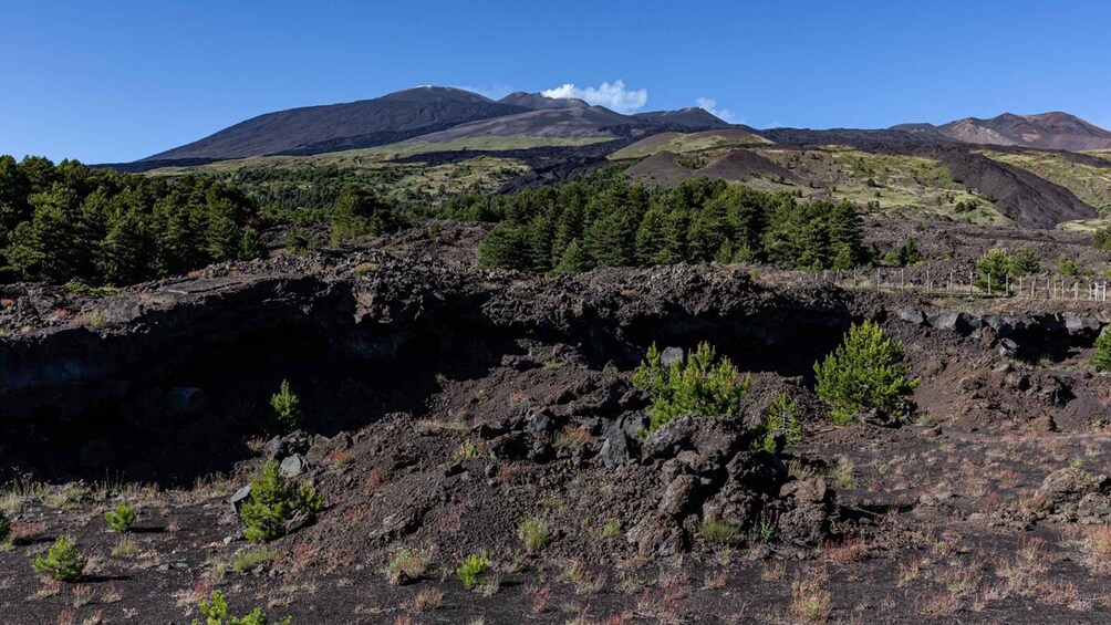 Picture 4 for Activity Mount Etna: Summit Cycling Tour