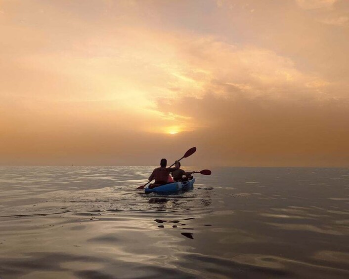 Picture 6 for Activity Rovinj: Sunset Kayaking Tour