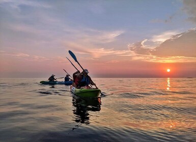 Rovinj: Sunset Kayaking Tour