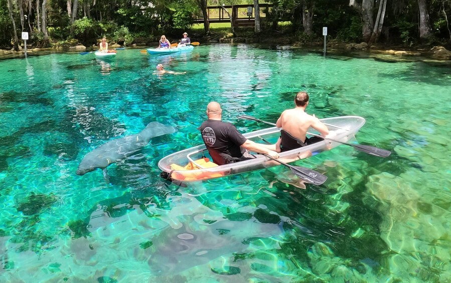 Picture 5 for Activity Crystal River: Springs and Manatees Clear Kayak Tour