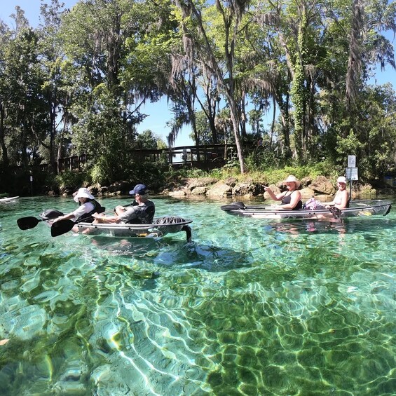 Picture 2 for Activity Crystal River: Springs and Manatees Clear Kayak Tour