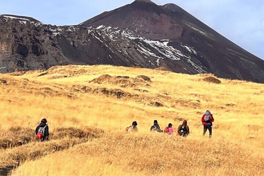 Full Day Shared Tour in Etna and Taormina