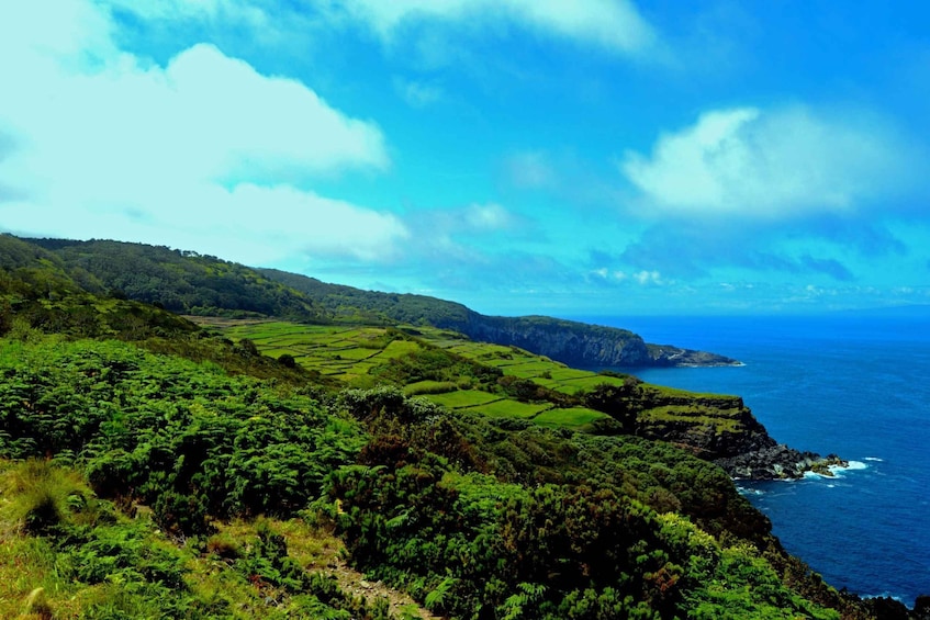 Picture 1 for Activity Terceira: Half-Day Island Tour with Cheese Tasting