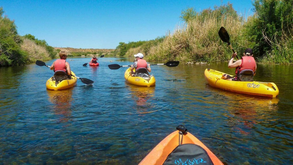 Picture 1 for Activity Phoenix: Self-Guided Kayaking Trip to Foxtail