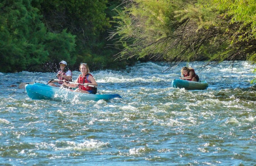 Picture 7 for Activity Phoenix: Self-Guided Kayaking Trip to Foxtail